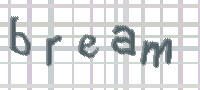 CAPTCHA image for SPAM prevention 