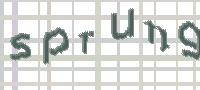 CAPTCHA image for SPAM prevention 