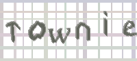 CAPTCHA image for SPAM prevention 